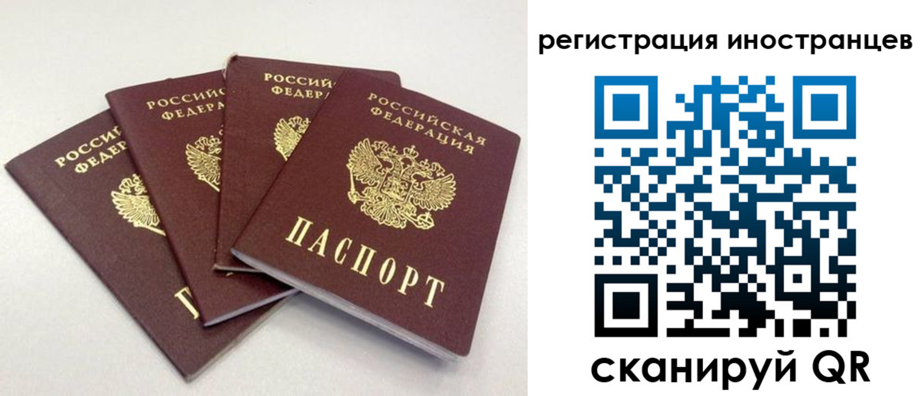 временная регистрация для школы в Волчанске